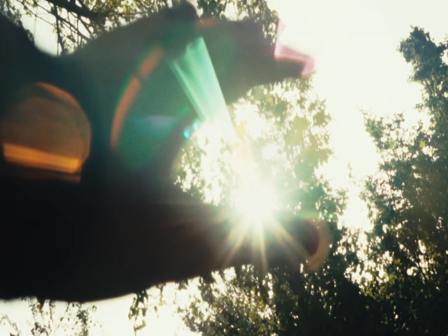 sunlight4
