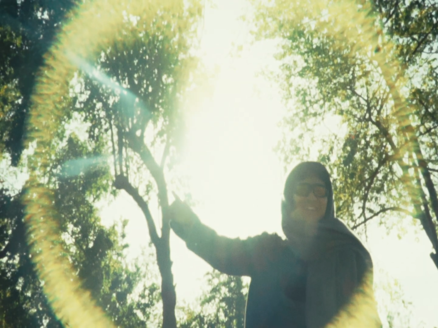 sunlight5